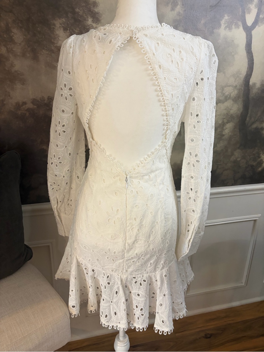 Princess Polly White Eyelet V-Neck Long Sleeve Mini Dress - Picture 4 of 12